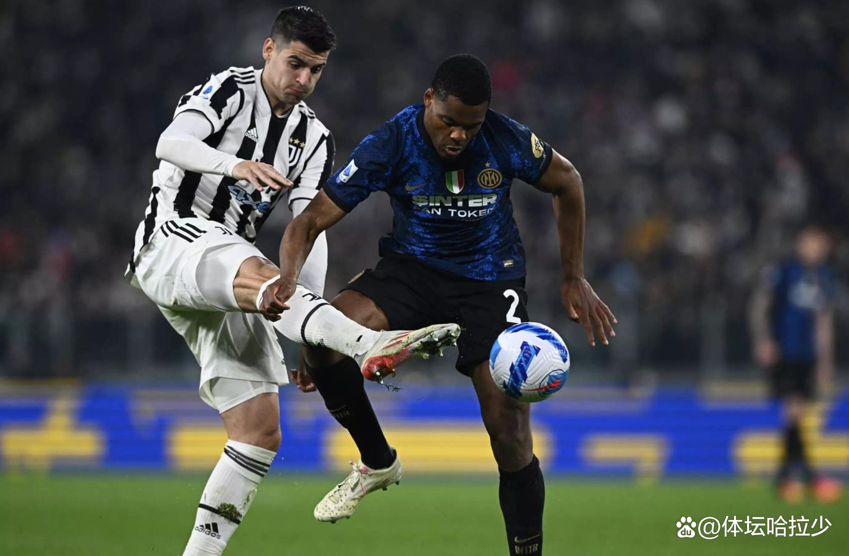 转折点夏洛特黄蜂单刀错失，英超赛前攻防权衡，信心回归，资深球员宣示担当(克洛格果实图片大全)